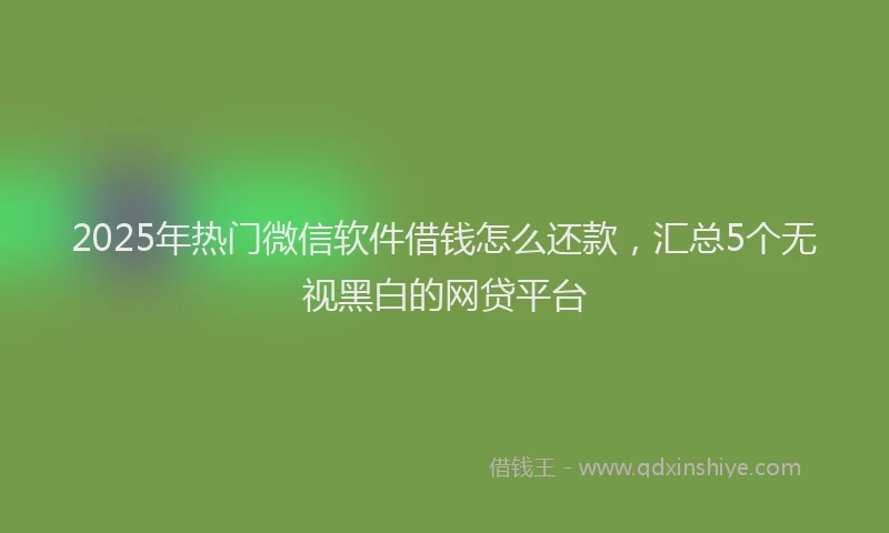 2025年热门微信软件借钱怎么还款，汇总5个无视黑白的网贷平台