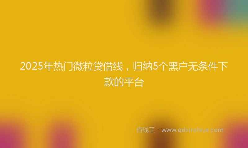 2025年热门微粒贷借线，归纳5个黑户无条件下款的平台