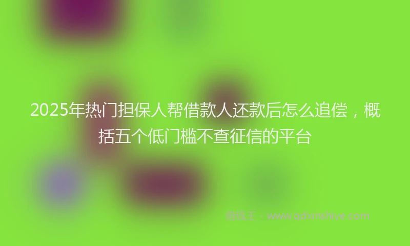 2025年热门担保人帮借款人还款后怎么追偿，概括五个低门槛不查征信的平台