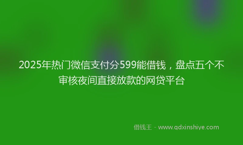 2025年热门微信支付分599能借钱，盘点五个不审核夜间直接放款的网贷平台