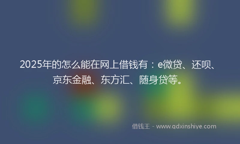 2025年的怎么能在网上借钱有：e微贷、还呗、京东金融、东方汇、随身贷等。