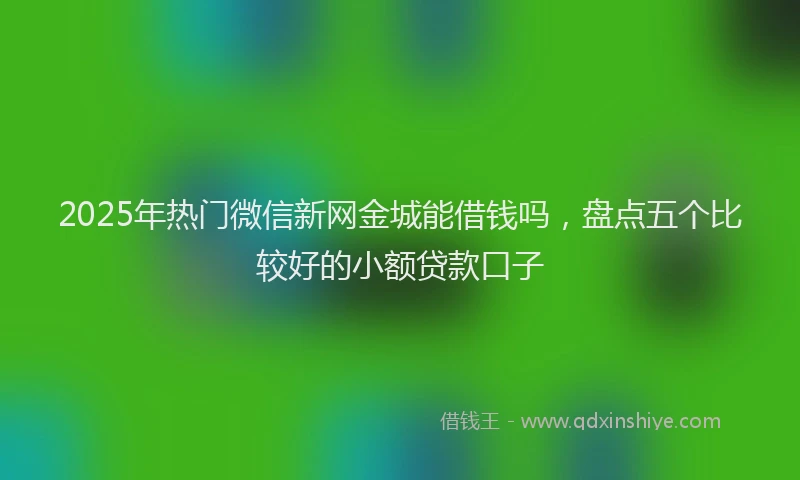2025年热门微信新网金城能借钱吗，盘点五个比较好的小额贷款口子