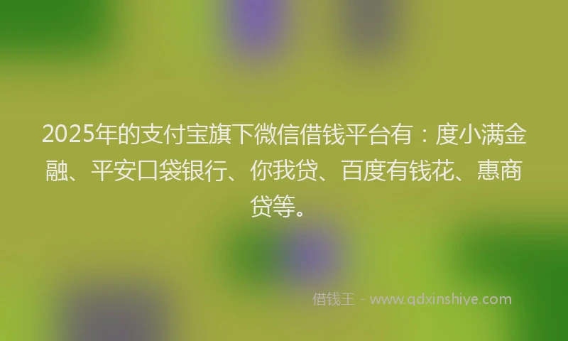 2025年的支付宝旗下微信借钱平台有：度小满金融、平安口袋银行、你我贷、百度有钱花、惠商贷等。
