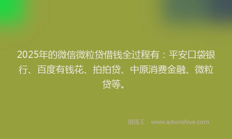 2025年的微信微粒贷借钱全过程有：平安口袋银行、百度有钱花、拍拍贷、中原消费金融、微粒贷等。