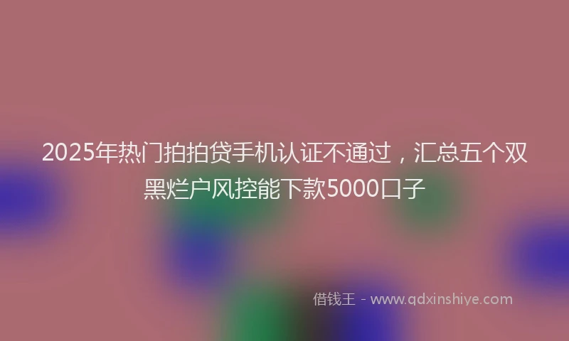 2025年热门拍拍贷手机认证不通过，汇总五个双黑烂户风控能下款5000口子