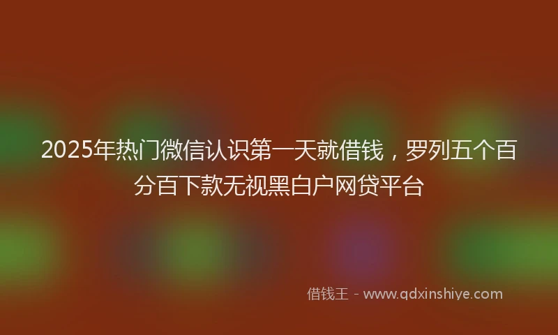 2025年热门微信认识第一天就借钱，罗列五个百分百下款无视黑白户网贷平台