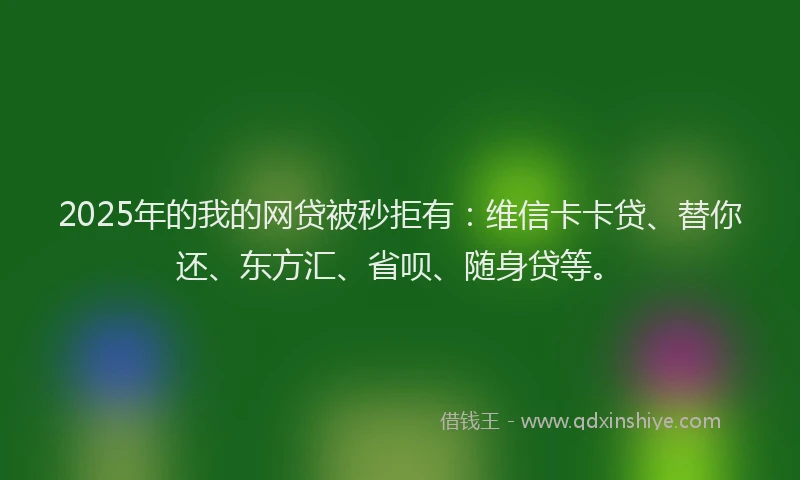 2025年的我的网贷被秒拒有：维信卡卡贷、替你还、东方汇、省呗、随身贷等。