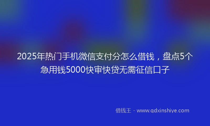 2025年热门手机微信支付分怎么借钱，盘点5个急用钱5000快审快贷无需征信口子