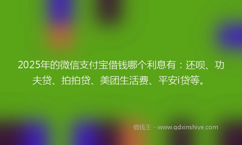 2025年的微信支付宝借钱哪个利息有：还呗、功夫贷、拍拍贷、美团生活费、平安i贷等。