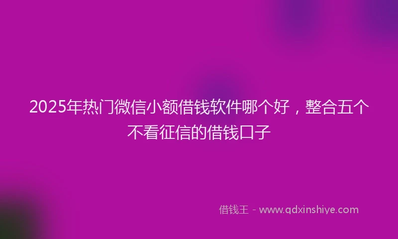 2025年热门微信小额借钱软件哪个好，整合五个不看征信的借钱口子
