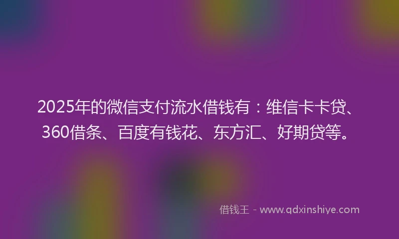 2025年的微信支付流水借钱有：维信卡卡贷、360借条、百度有钱花、东方汇、好期贷等。