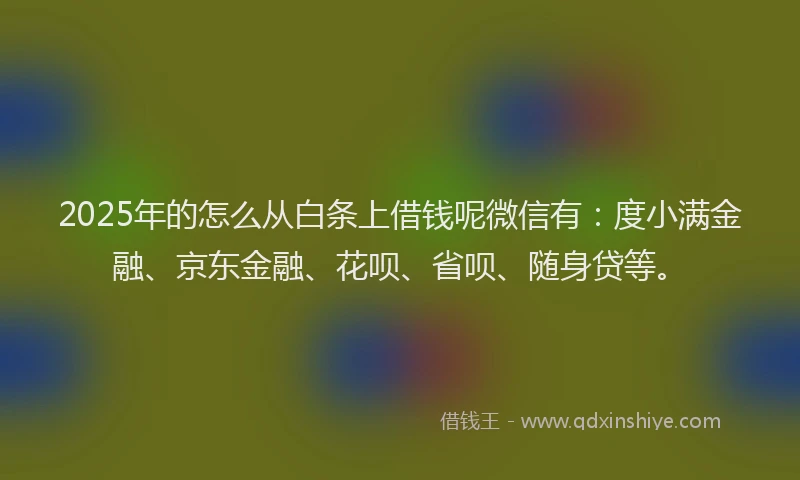2025年的怎么从白条上借钱呢微信有：度小满金融、京东金融、花呗、省呗、随身贷等。