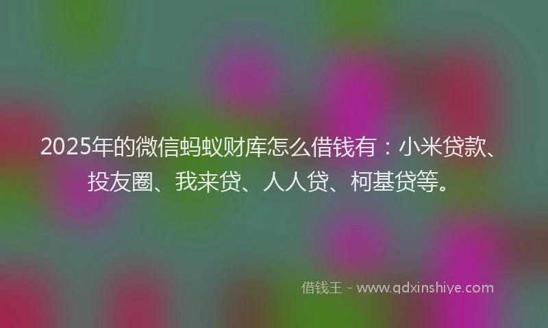 2025年的微信蚂蚁财库怎么借钱有：小米贷款、投友圈、我来贷、人人贷、柯基贷等。