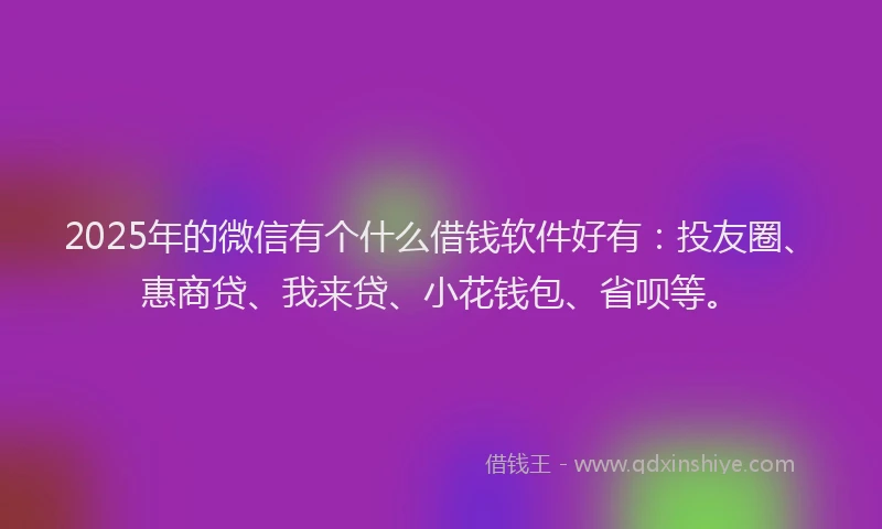 2025年的微信有个什么借钱软件好有：投友圈、惠商贷、我来贷、小花钱包、省呗等。