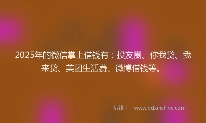 2025年的微信掌上借钱有：投友圈、你我贷、我来贷、美团生活费、微博借钱等。
