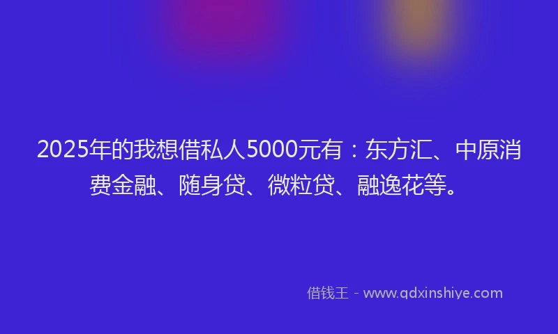 2025年的我想借私人5000元有：东方汇、中原消费金融、随身贷、微粒贷、融逸花等。
