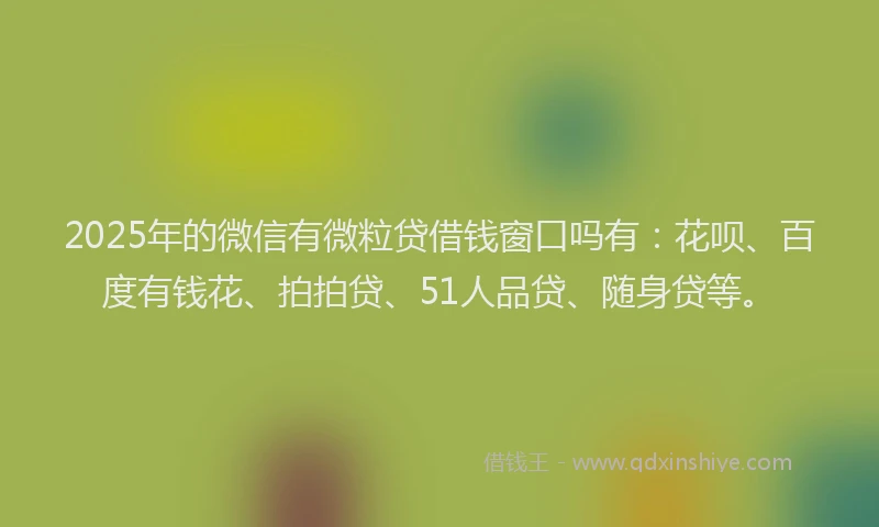 2025年的微信有微粒贷借钱窗口吗有：花呗、百度有钱花、拍拍贷、51人品贷、随身贷等。