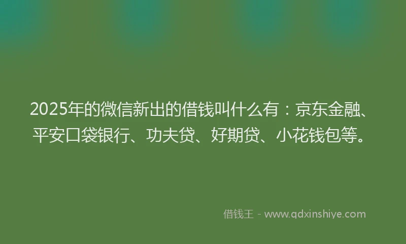 2025年的微信新出的借钱叫什么有：京东金融、平安口袋银行、功夫贷、好期贷、小花钱包等。