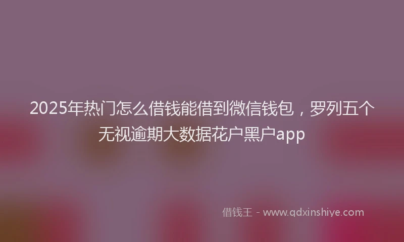 2025年热门怎么借钱能借到微信钱包，罗列五个无视逾期大数据花户黑户app