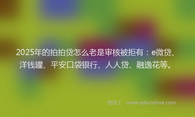 2025年的拍拍贷怎么老是审核被拒有：e微贷、洋钱罐、平安口袋银行、人人贷、融逸花等。