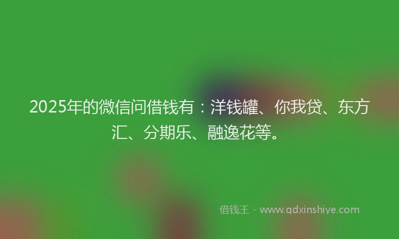 2025年的微信问借钱有：洋钱罐、你我贷、东方汇、分期乐、融逸花等。