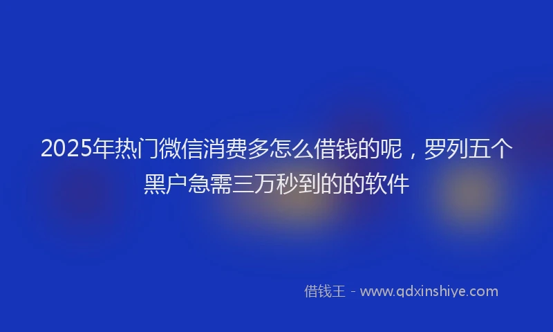 2025年热门微信消费多怎么借钱的呢，罗列五个黑户急需三万秒到的的软件