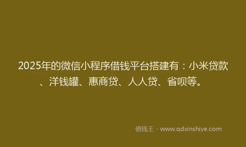 2025年的微信小程序借钱平台搭建有：小米贷款、洋钱罐、惠商贷、人人贷、省呗等。