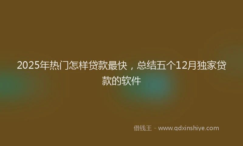 2025年热门怎样贷款最快，总结五个12月独家贷款的软件