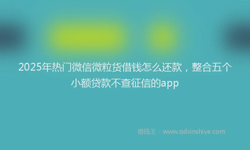 2025年热门微信微粒货借钱怎么还款，整合五个小额贷款不查征信的app