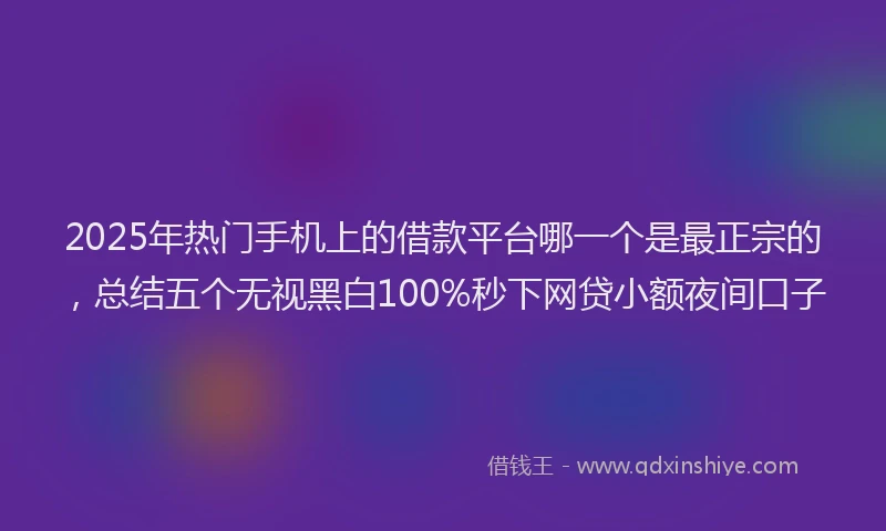 2025年热门手机上的借款平台哪一个是最正宗的，总结五个无视黑白100%秒下网贷小额夜间口子
