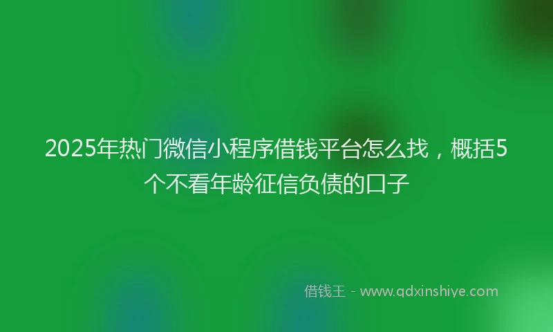 2025年热门微信小程序借钱平台怎么找，概括5个不看年龄征信负债的口子