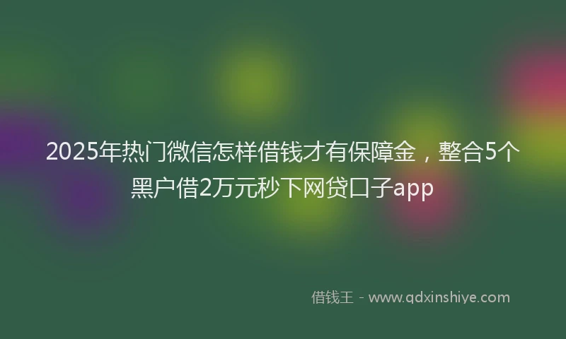 2025年热门微信怎样借钱才有保障金，整合5个黑户借2万元秒下网贷口子app