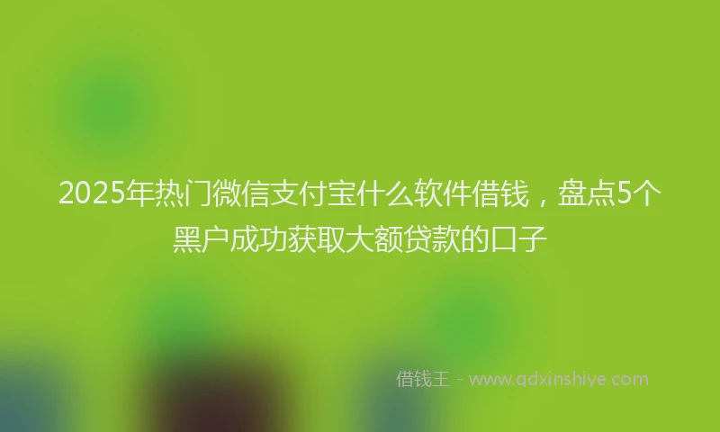 2025年热门微信支付宝什么软件借钱，盘点5个黑户成功获取大额贷款的口子