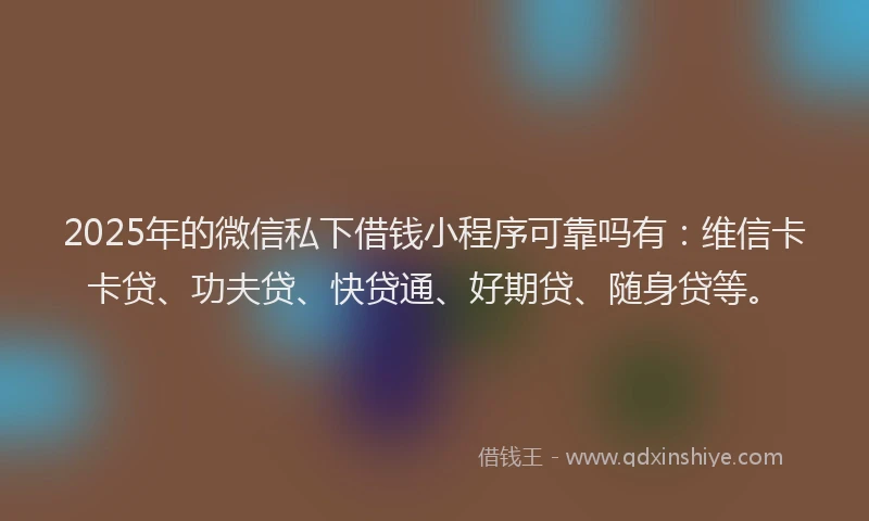 2025年的微信私下借钱小程序可靠吗有：维信卡卡贷、功夫贷、快贷通、好期贷、随身贷等。