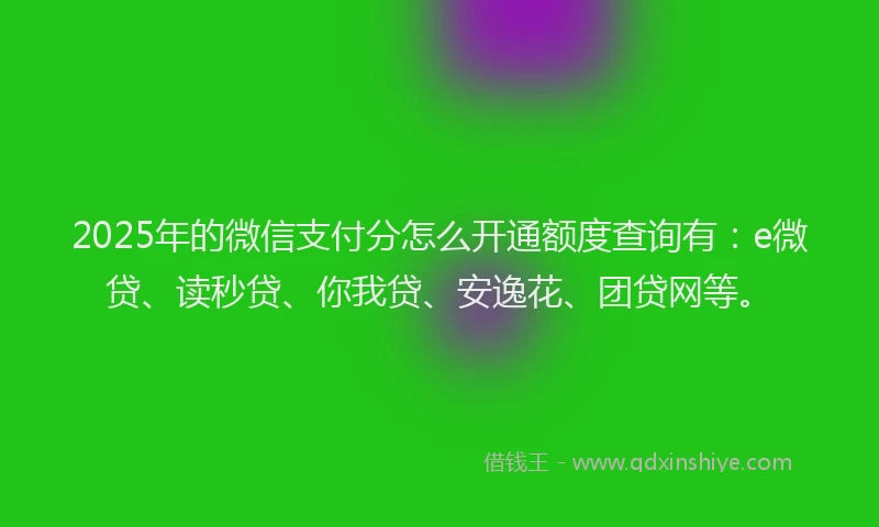 2025年的微信支付分怎么开通额度查询有：e微贷、读秒贷、你我贷、安逸花、团贷网等。