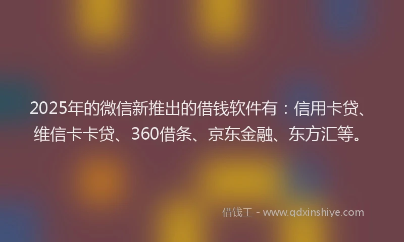 2025年的微信新推出的借钱软件有：信用卡贷、维信卡卡贷、360借条、京东金融、东方汇等。