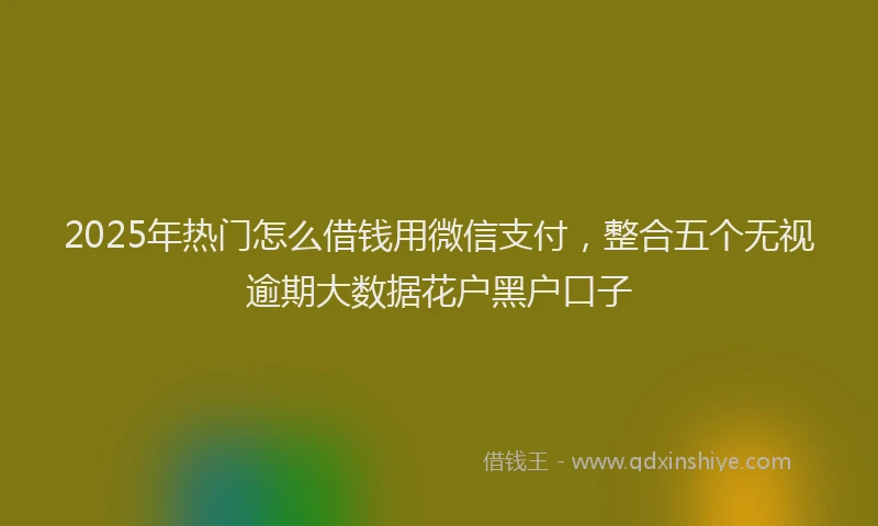 2025年热门怎么借钱用微信支付，整合五个无视逾期大数据花户黑户口子