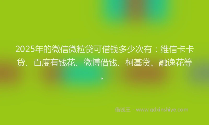 2025年的微信微粒贷可借钱多少次有：维信卡卡贷、百度有钱花、微博借钱、柯基贷、融逸花等。