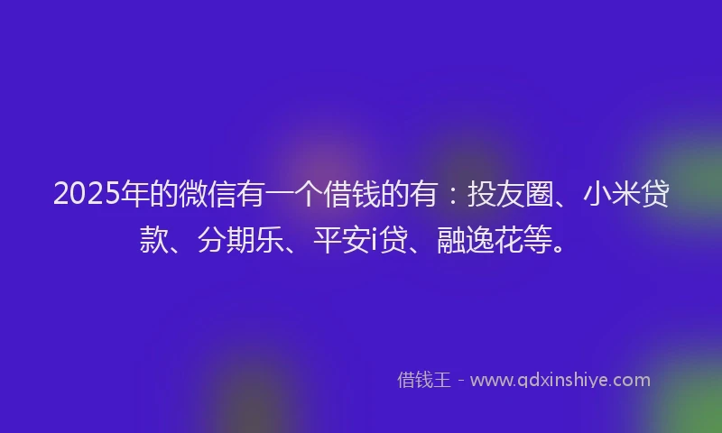 2025年的微信有一个借钱的有：投友圈、小米贷款、分期乐、平安i贷、融逸花等。