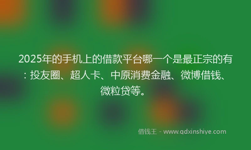 2025年的手机上的借款平台哪一个是最正宗的有：投友圈、超人卡、中原消费金融、微博借钱、微粒贷等。