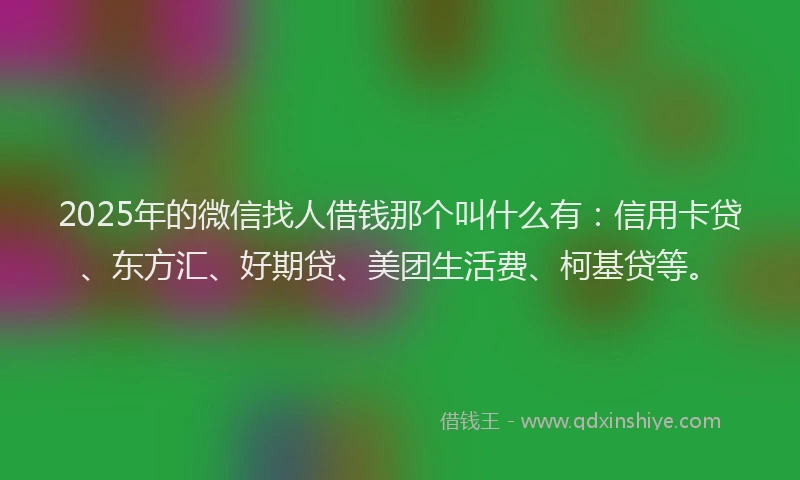 2025年的微信找人借钱那个叫什么有：信用卡贷、东方汇、好期贷、美团生活费、柯基贷等。