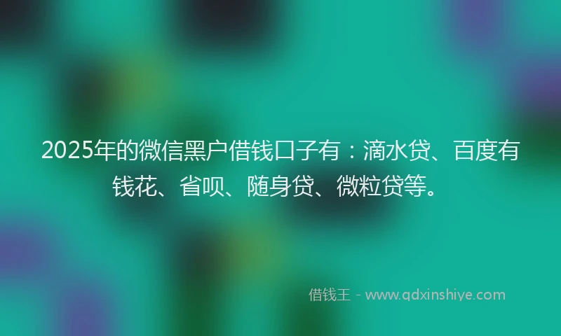 2025年的微信黑户借钱口子有：滴水贷、百度有钱花、省呗、随身贷、微粒贷等。
