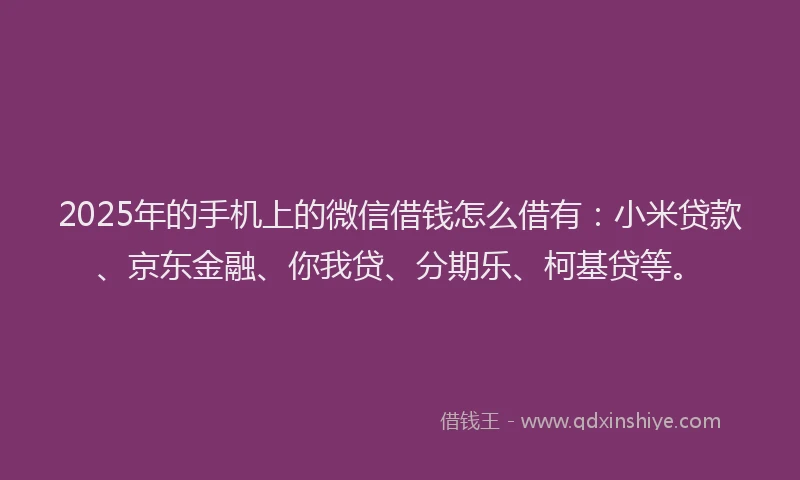 2025年的手机上的微信借钱怎么借有：小米贷款、京东金融、你我贷、分期乐、柯基贷等。