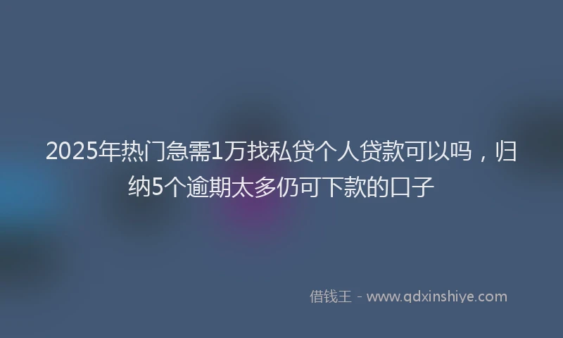 2025年热门急需1万找私贷个人贷款可以吗，归纳5个逾期太多仍可下款的口子