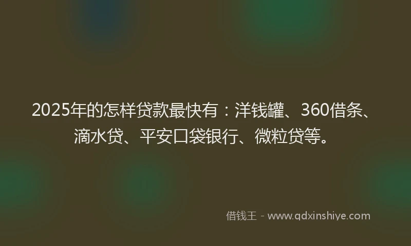 2025年的怎样贷款最快有：洋钱罐、360借条、滴水贷、平安口袋银行、微粒贷等。