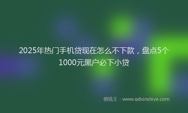 2025年热门手机贷现在怎么不下款，盘点5个1000元黑户必下小贷