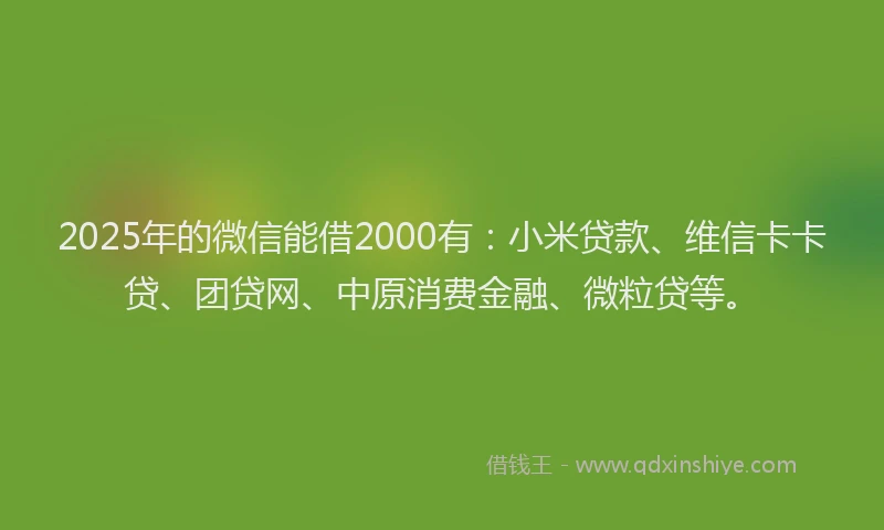 2025年的微信能借2000有：小米贷款、维信卡卡贷、团贷网、中原消费金融、微粒贷等。