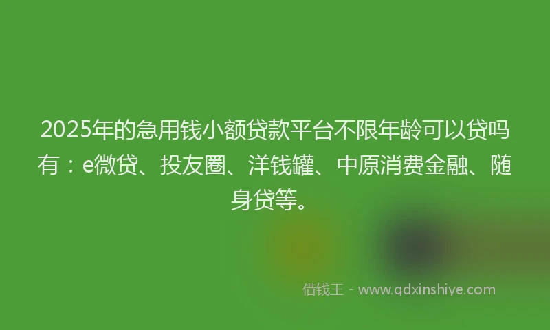 2025年的急用钱小额贷款平台不限年龄可以贷吗有：e微贷、投友圈、洋钱罐、中原消费金融、随身贷等。