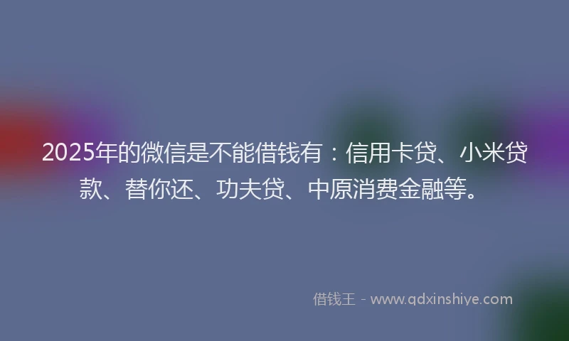 2025年的微信是不能借钱有：信用卡贷、小米贷款、替你还、功夫贷、中原消费金融等。