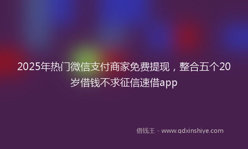 2025年热门微信支付商家免费提现，整合五个20岁借钱不求征信速借app